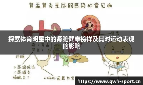 探索体育明星中的肾脏健康榜样及其对运动表现的影响